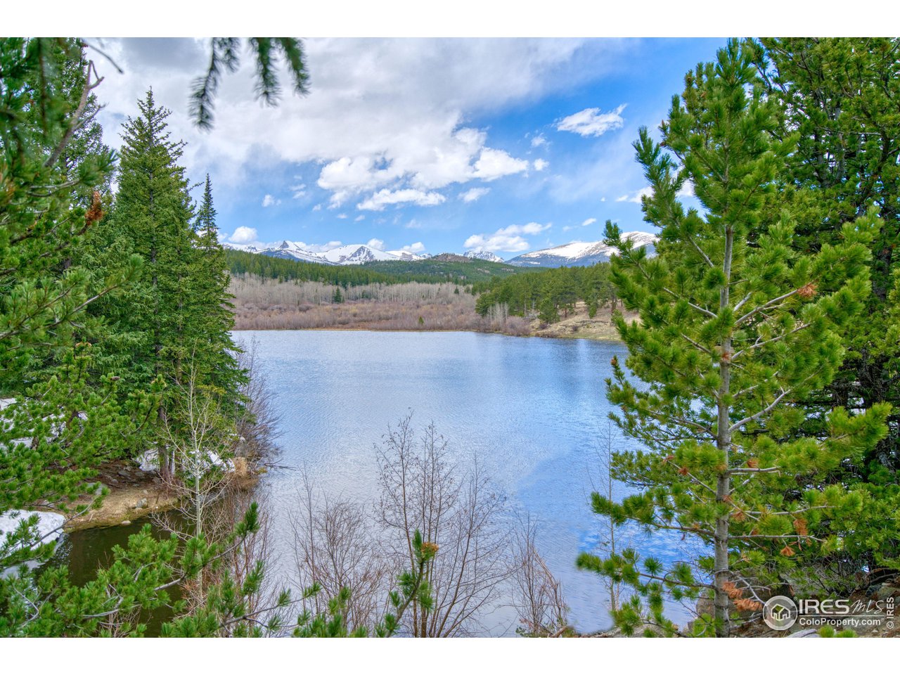 173 County Road 96 Ward, CO 80481 - Photo 10 of 17