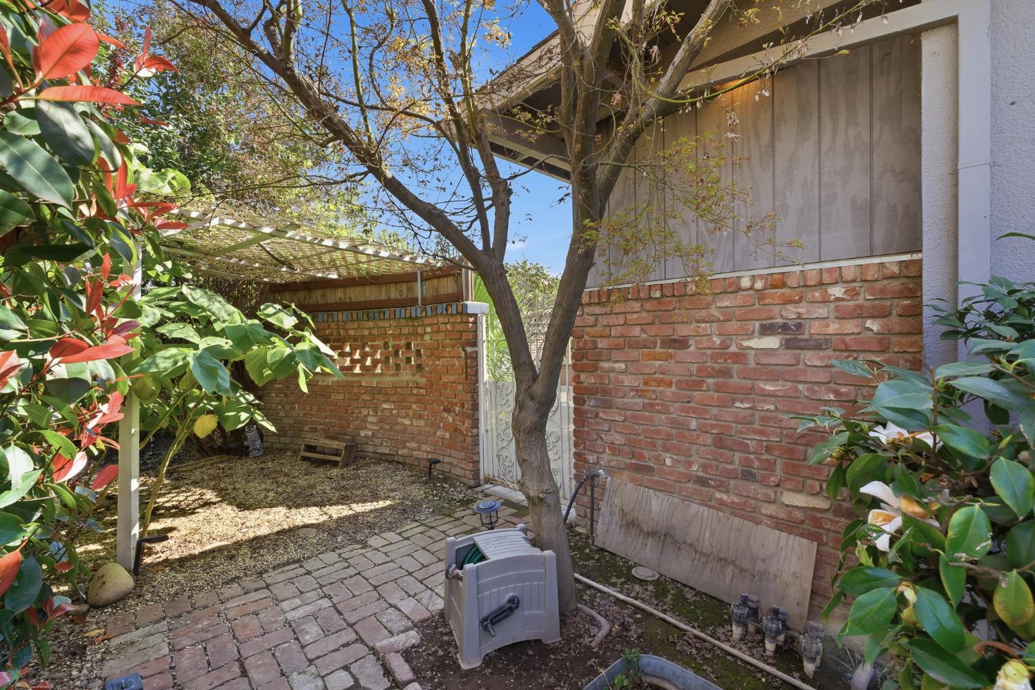 574 North Frankwood Avenue Reedley, CA 93654 - Photo 36 of 37 a backyard of a house with lots of green space