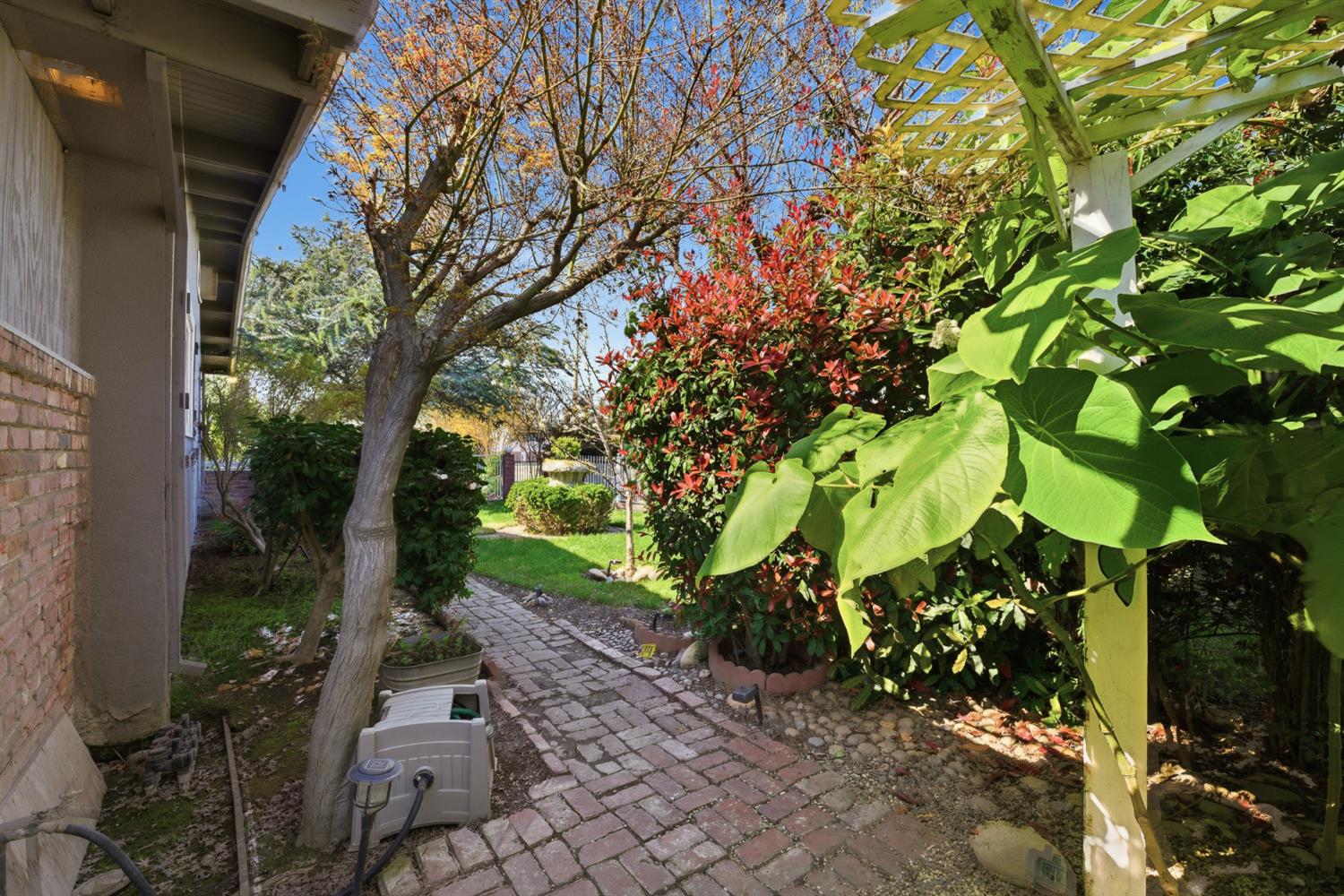 574 North Frankwood Avenue Reedley, CA 93654 - Photo 37 of 37 a view of a back yard of the house