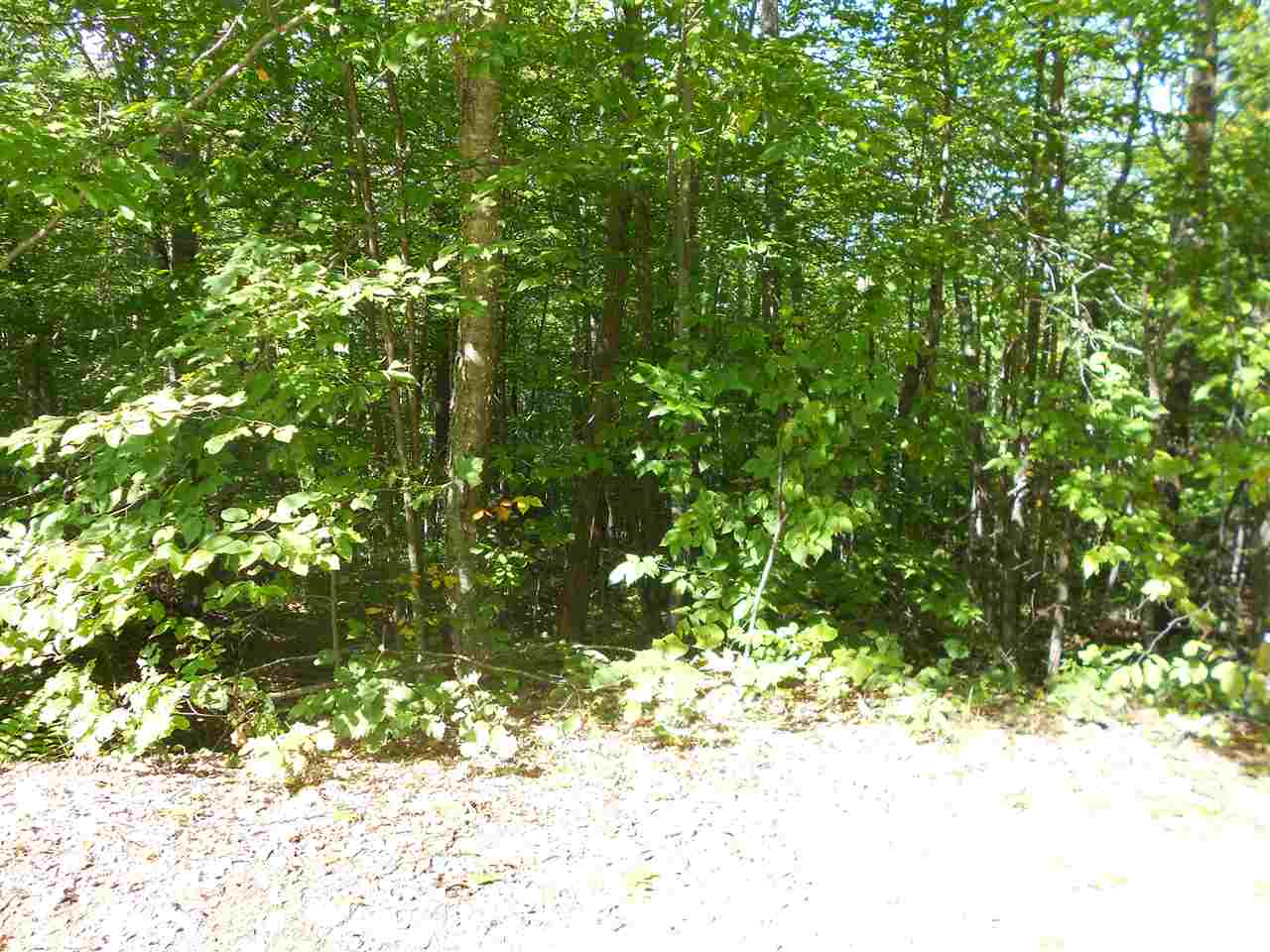 Lot 12 Ridge View Drive Bristol, NH 03222 - Photo 3 of 5 Gallery Image 3