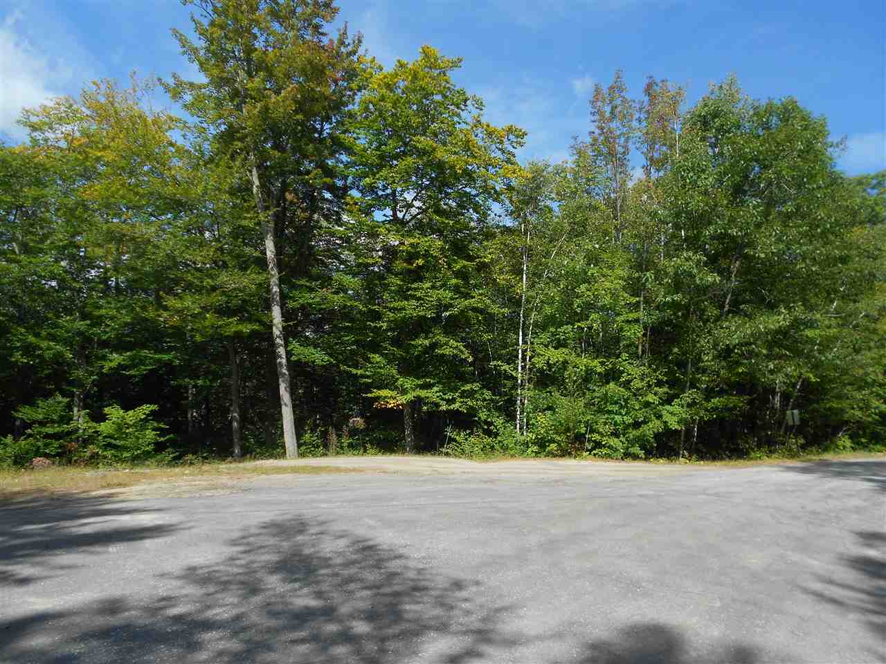 Lot 12 Ridge View Drive Bristol, NH 03222 - Photo 4 of 5 Gallery Image 4