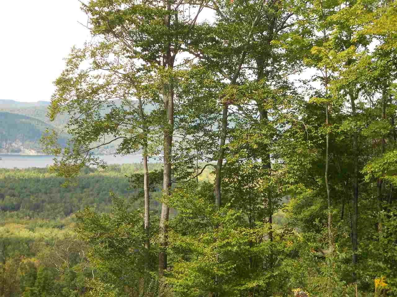 Lot 12 Ridge View Drive Bristol, NH 03222 - Photo 5 of 5 Gallery Image 5