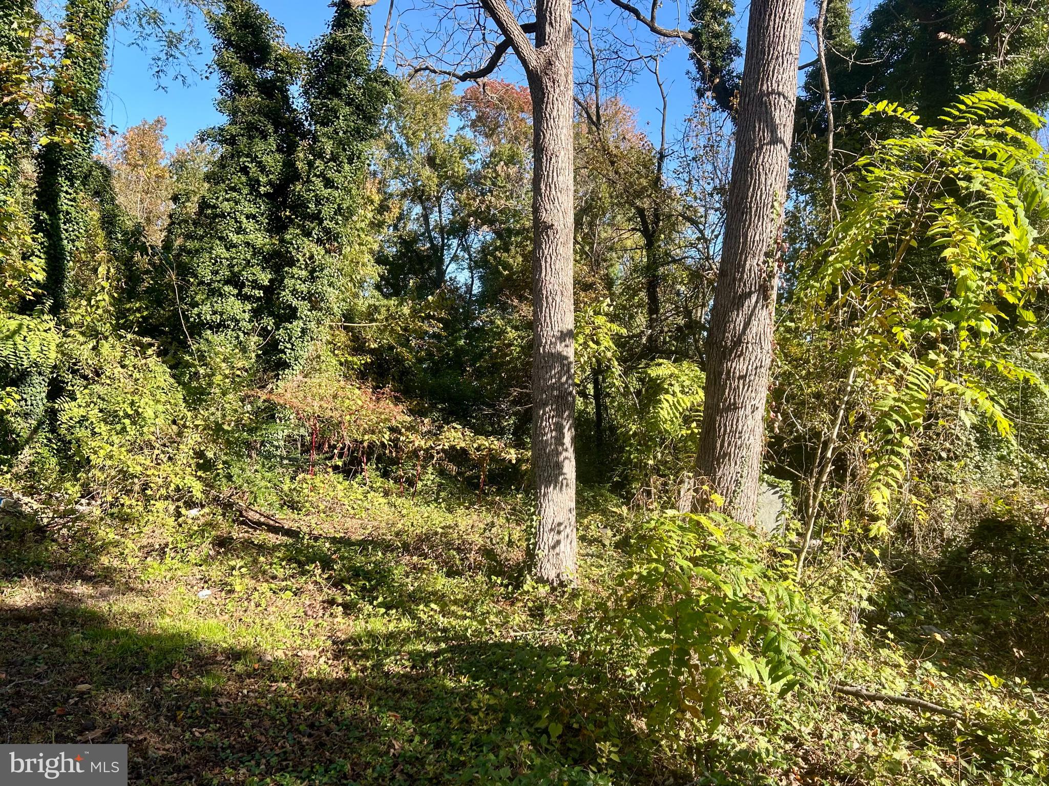 663 Voshells Mill Star Hill Road Dover, DE 19901 - Photo 4 of 15 .70 acre lot