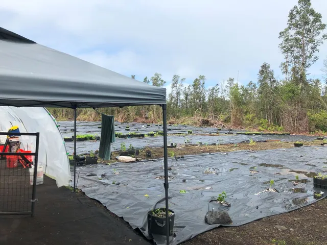 a swimming pool with outdoor seating