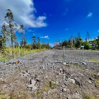 a view of a yard with a tree