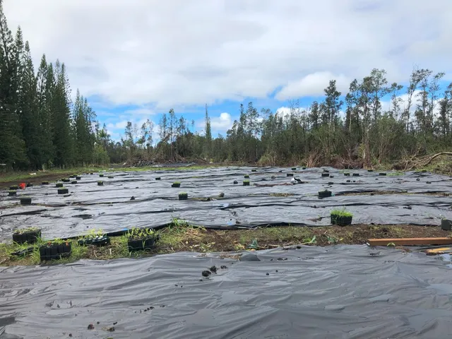 a view of a dirt field
