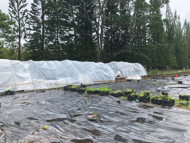 a view of outdoor space yard and mountain view