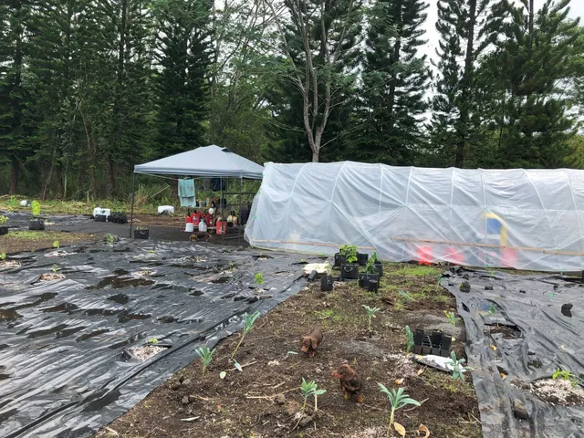 a view of a backyard with a patio