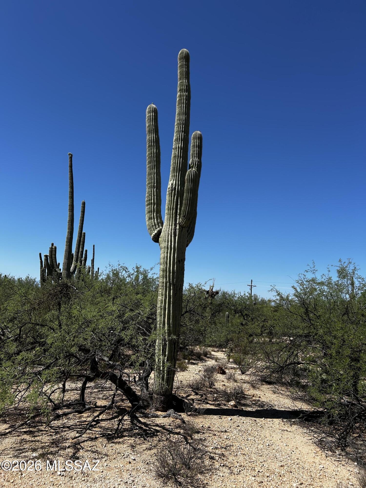 East Roger Road, Unit 46 Tucson, AZ 85749 - Photo 3 of 38