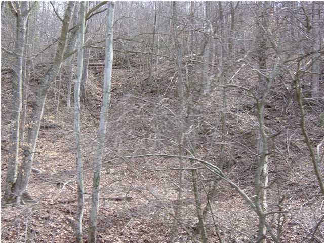 44 Adams Branch Road Frenchburg, KY 40322 - Photo 3 of 9 Additional Photo