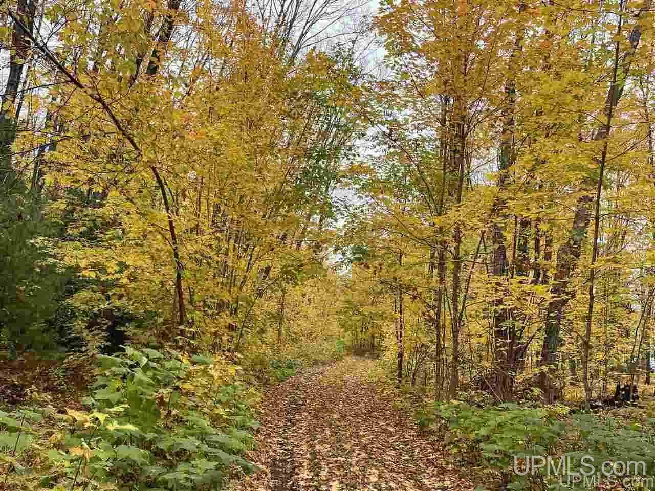 Lot 4 Liimatainen Road Lanse, MI 49946 - Photo 17 of 17 Gallery Image 17