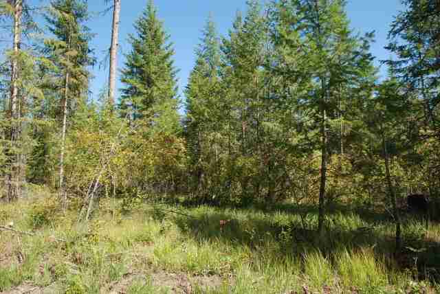 Xx Belstar Road Clayton, WA 99110 - Photo 7 of 9