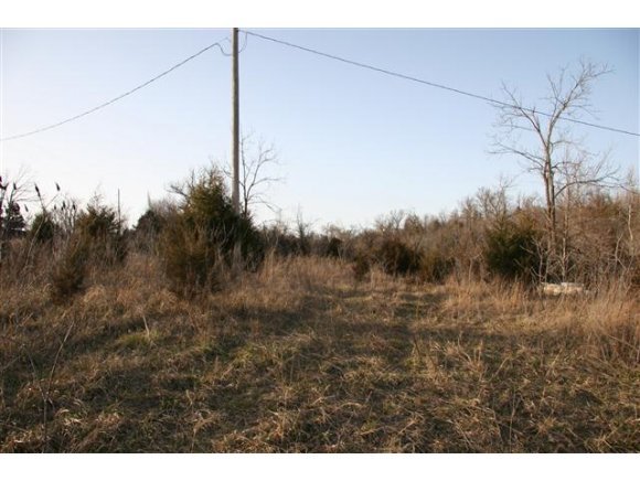 4296 Center Loop Omaha, AR 72662 - Photo 1 of 1 Primary Photo