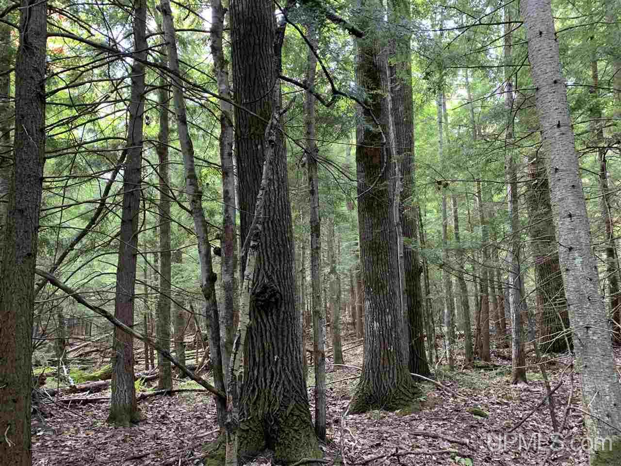 Tbd Olsen Road Lanse, MI 49946 - Photo 6 of 9 Gallery Image 6