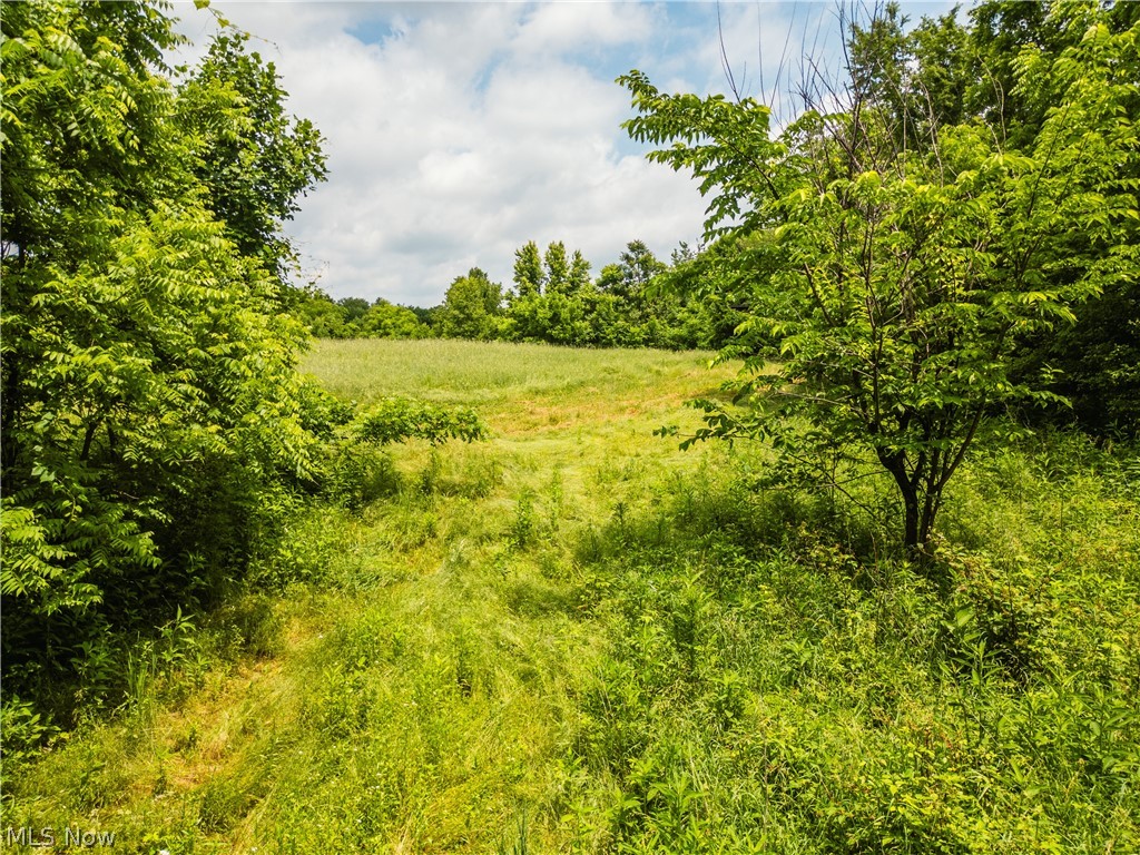 Taylor Road Cambridge, OH 43725 - Photo 28 of 48