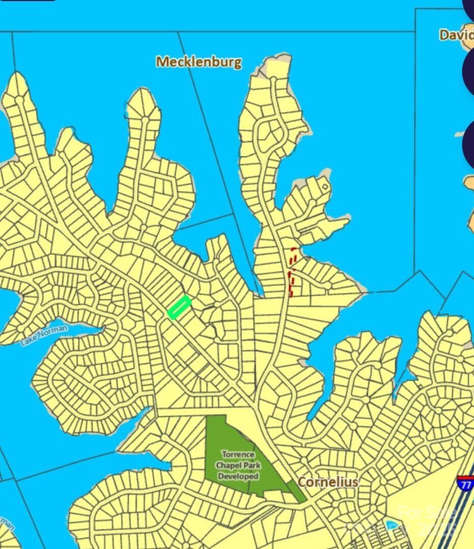 21910 Torrence Chapel Road Cornelius, NC 28031 - Photo 3 of 5