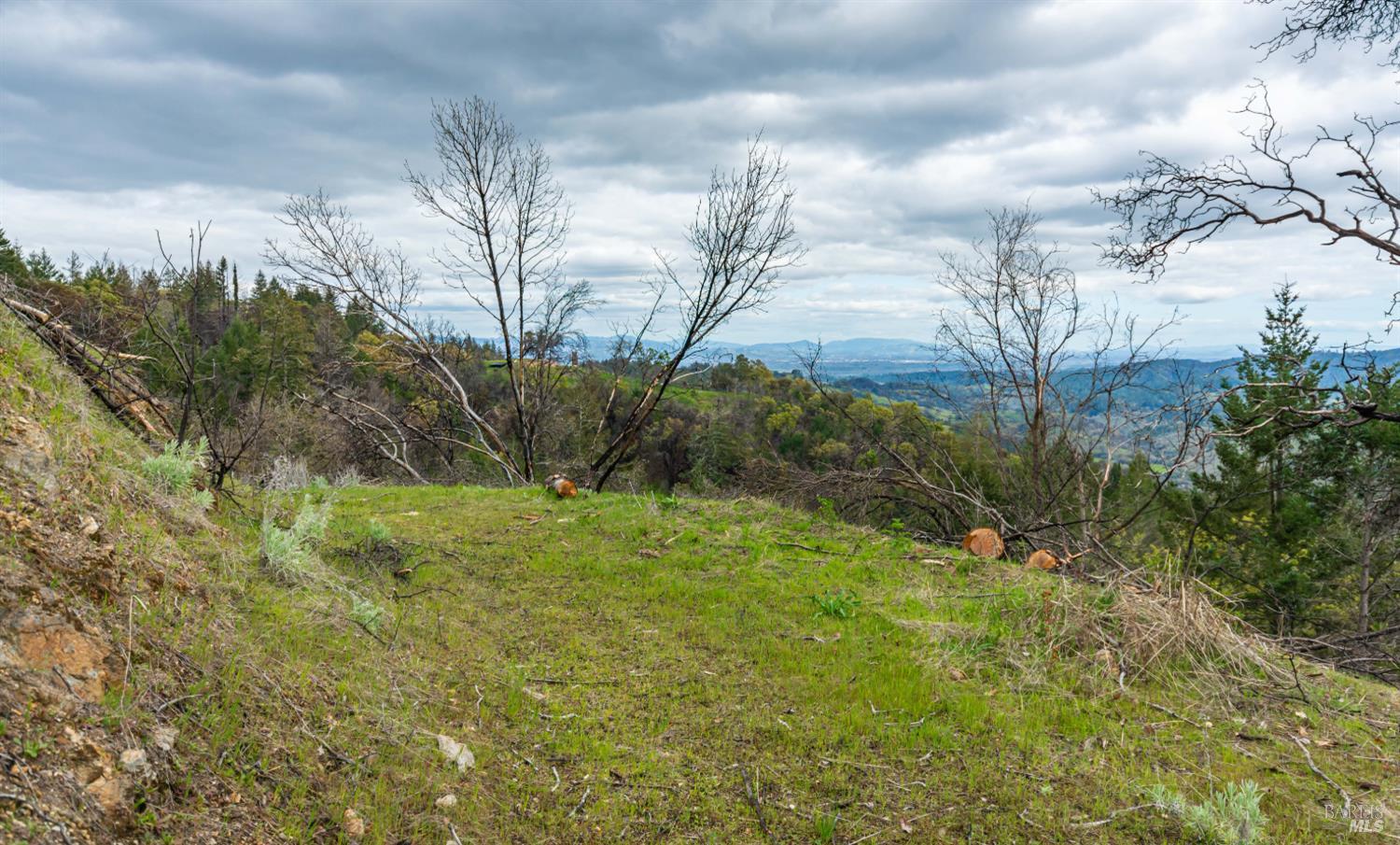 1401 Big Ridge Road Healdsburg, CA 95448 - Photo 68 of 86