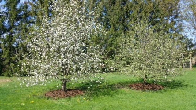 319 South Snow Prairie Road Coldwater, MI 49036 - Photo 3 of 23 20170422_154434 (3)