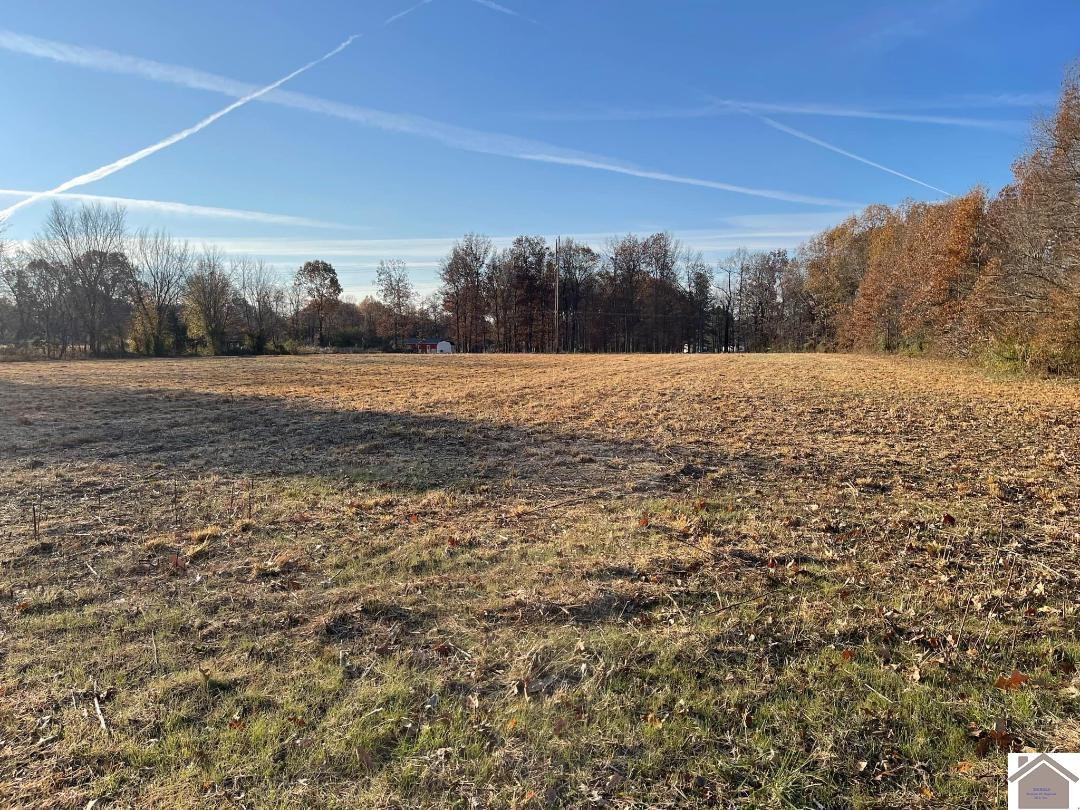 9850 Crotzer Road West Paducah, KY 42086 - Photo 1 of 2 Photo 1