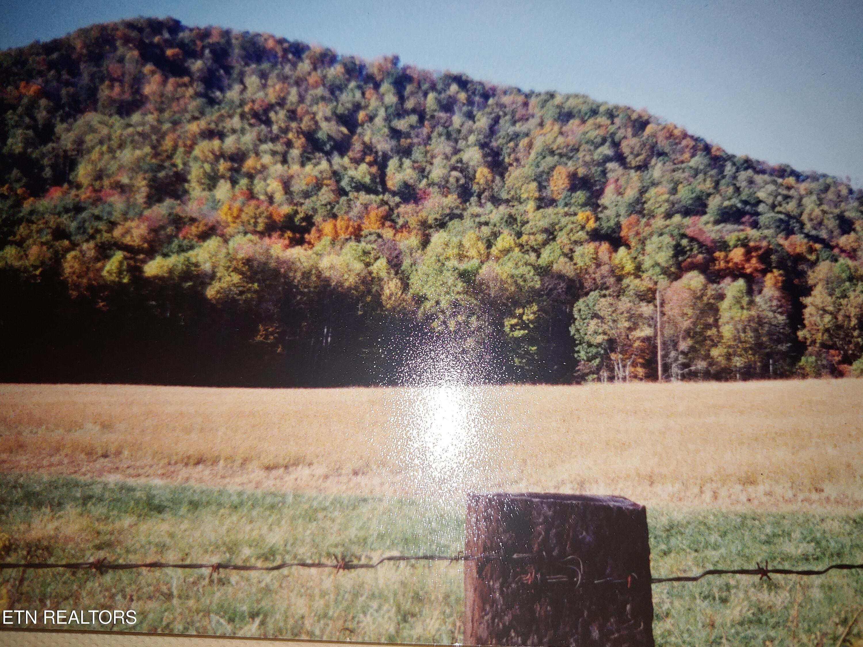 Mill Creek Road Sunbright, TN 37872 - Photo 12 of 12 View from a Distance