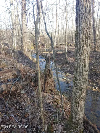 $345,000 | Mill Creek Road, Sunbright, TN 37872