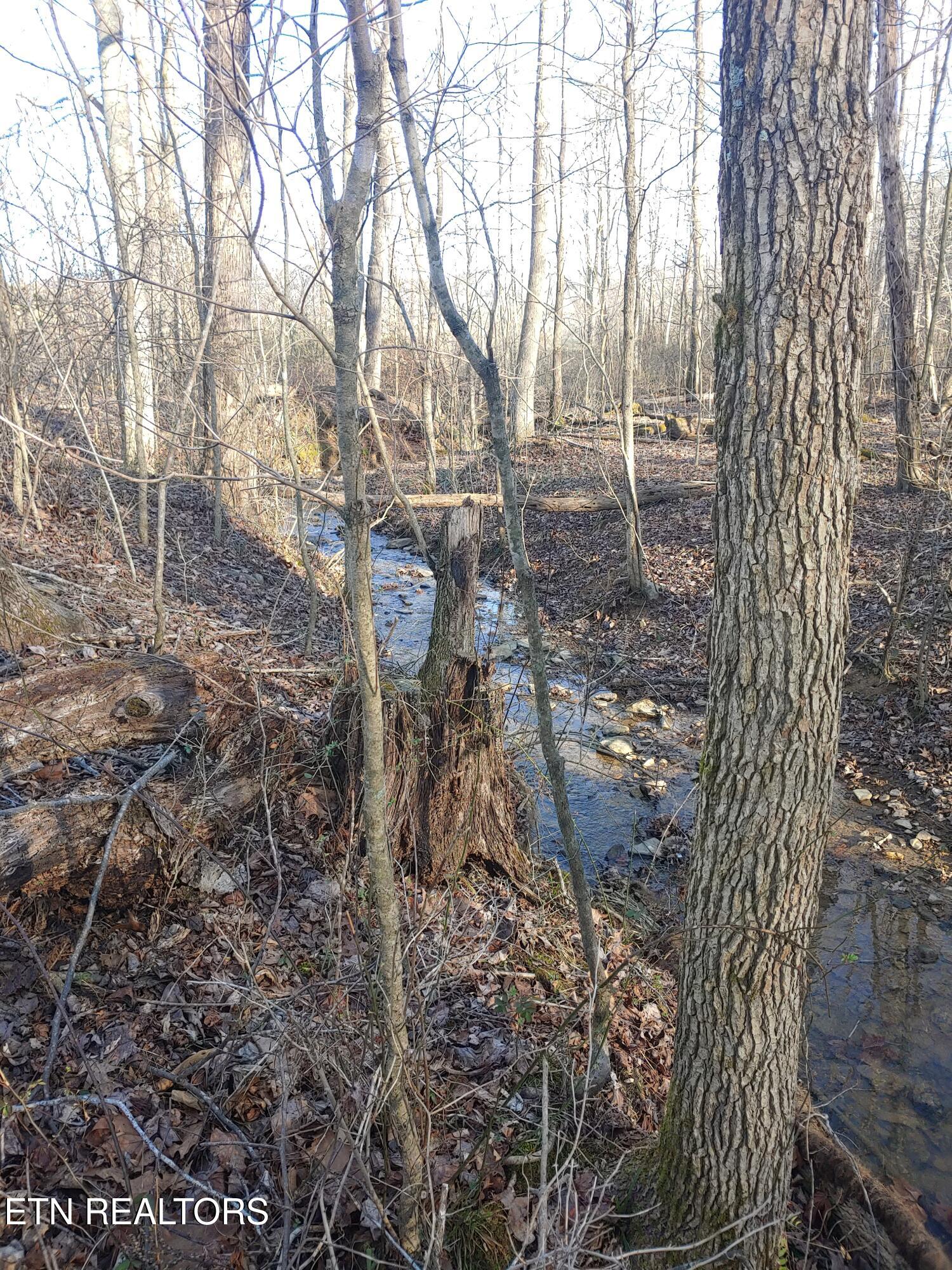 Mill Creek Road Sunbright, TN 37872 - Photo 2 of 12 View of Creek