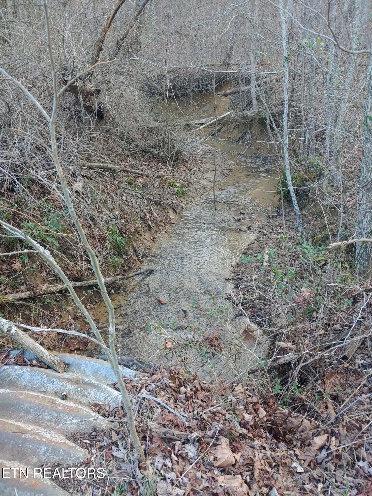 Mill Creek Road Sunbright, TN 37872 - Photo 3 of 12 Creek View 3