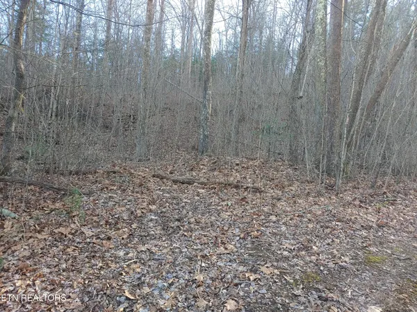 $345,000 | Mill Creek Road, Sunbright, TN 37872