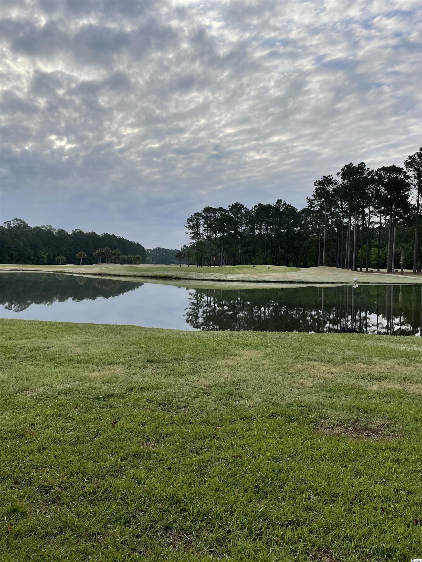905 Coleraine Court Murrells Inlet, SC 29576 - Photo 36 of 40 Gallery Image 36