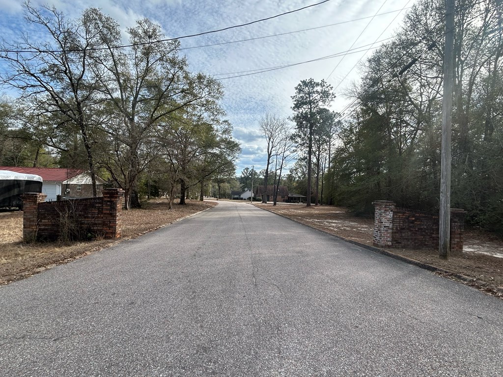 9-ac Whittle Hudson Road Ozark, AL 36360 - Photo 24 of 34