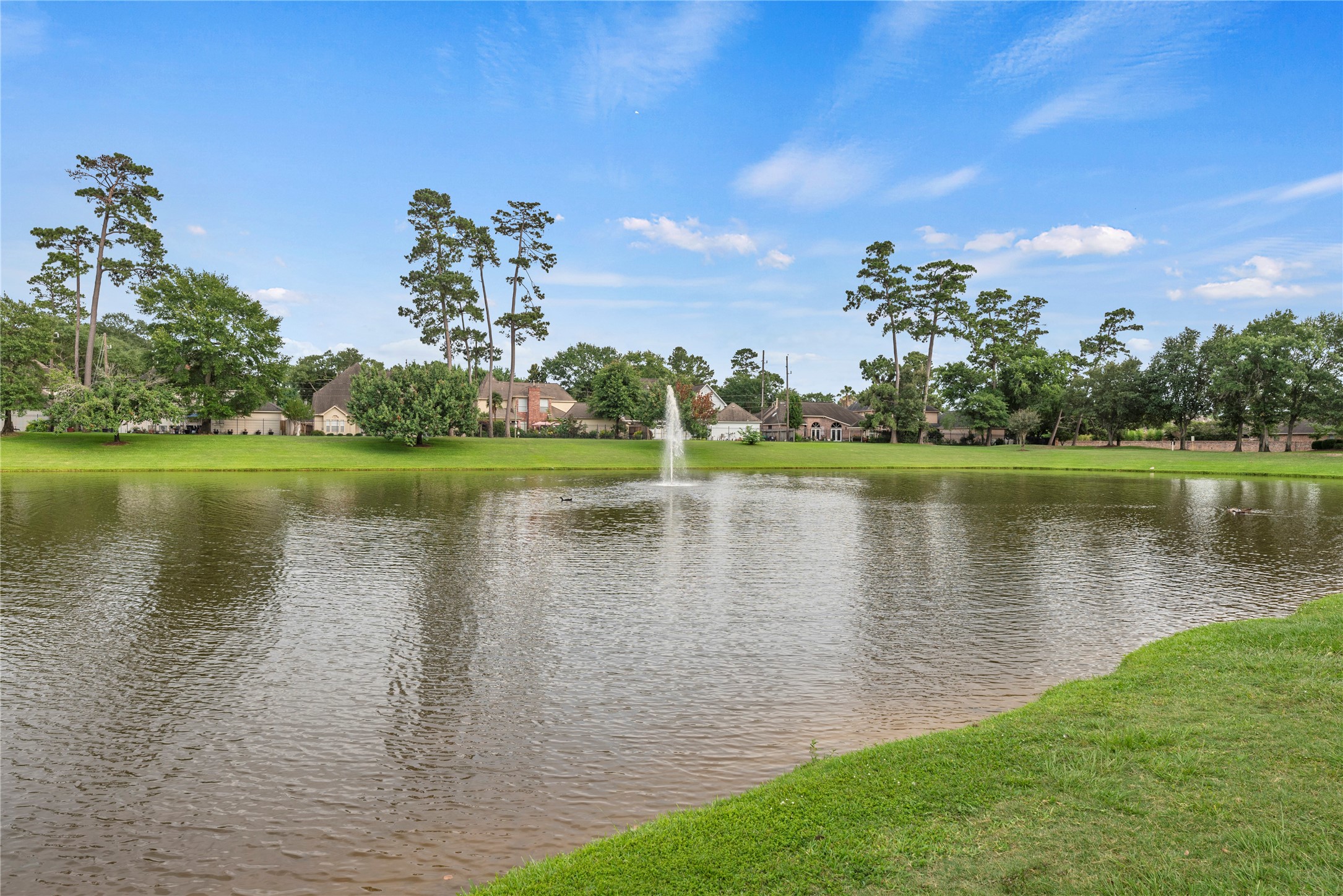 16610 Champagne Falls Court Spring, TX 77379 - Photo 44 of 45 a view of a lake with a big yard