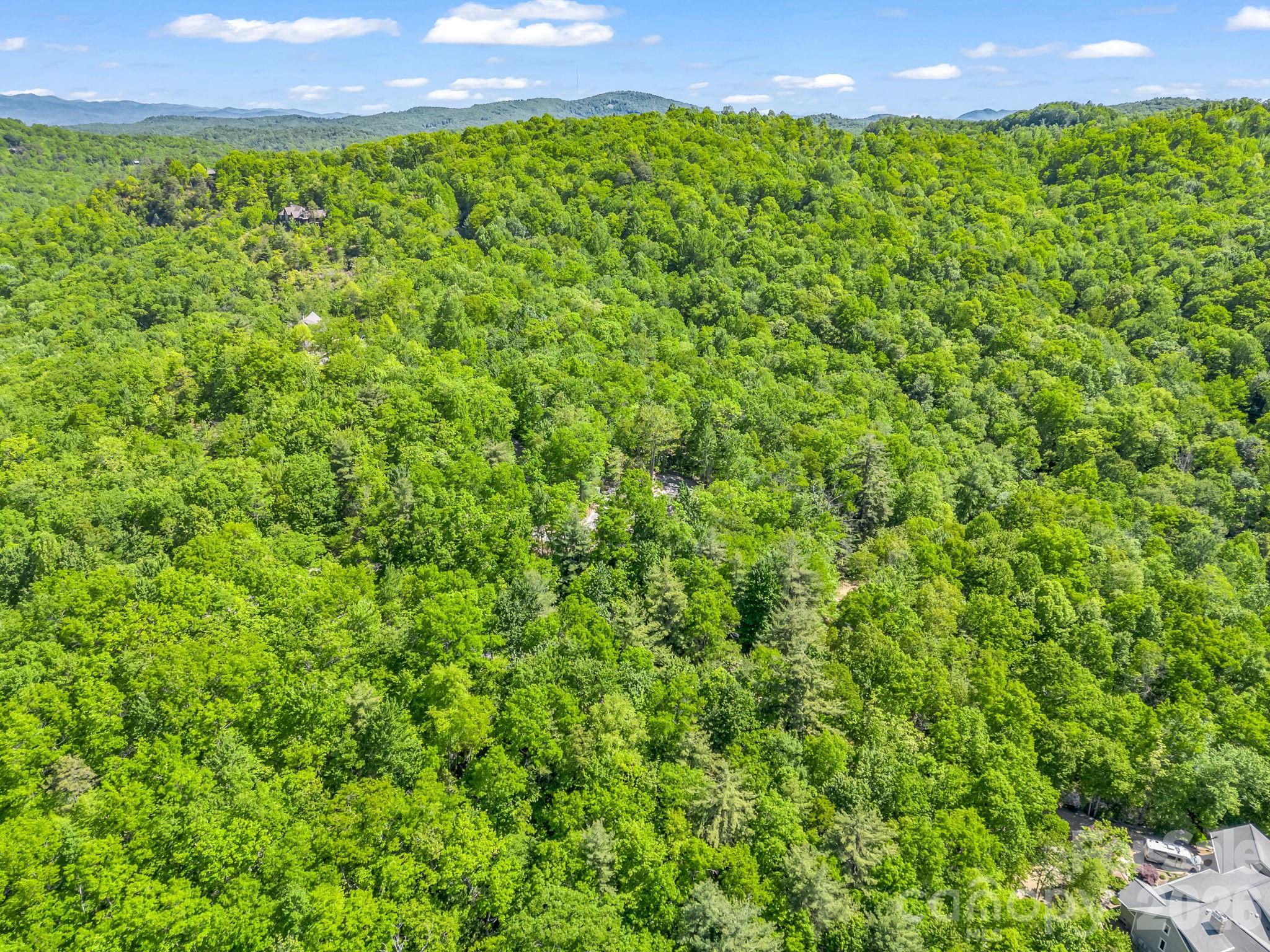 352 Big Hill Road Brevard, NC 28712 - Photo 17 of 31