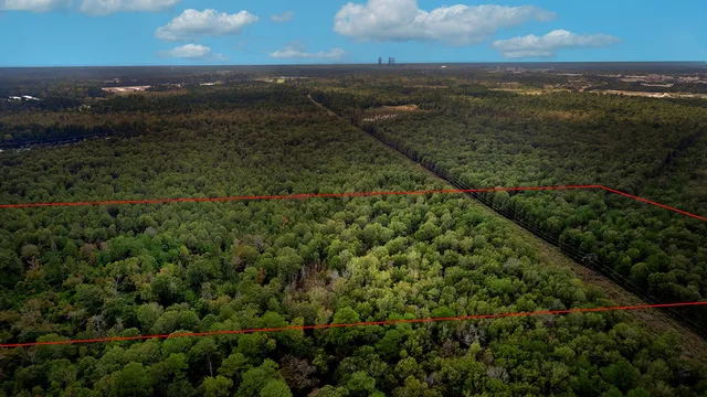 $250,000 | 7.73 Acres, Conroe, TX 77385