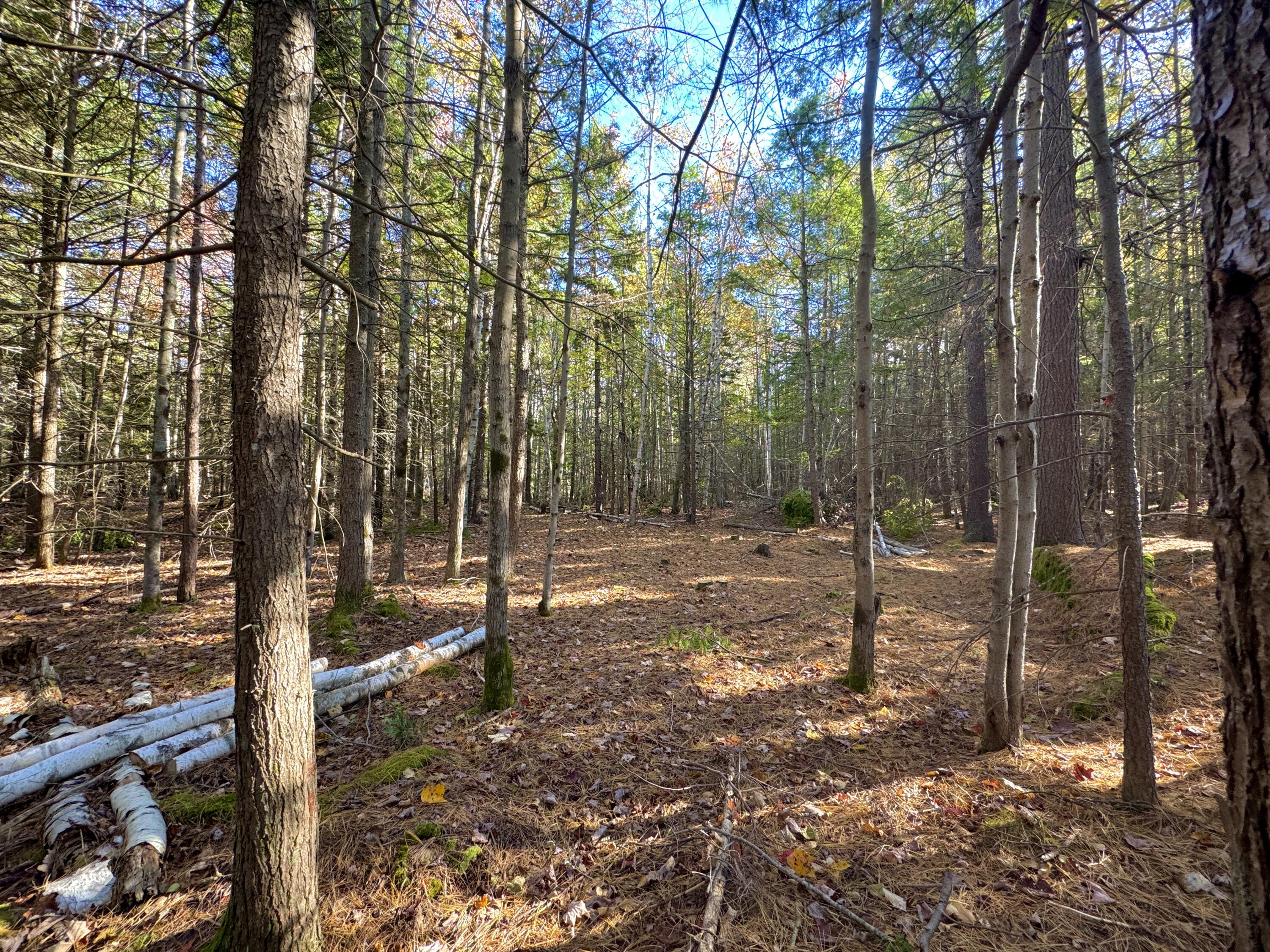 2 WEST Mountain Road West Bath, ME 04530 - Photo 4 of 10 West Lot 2 clearing