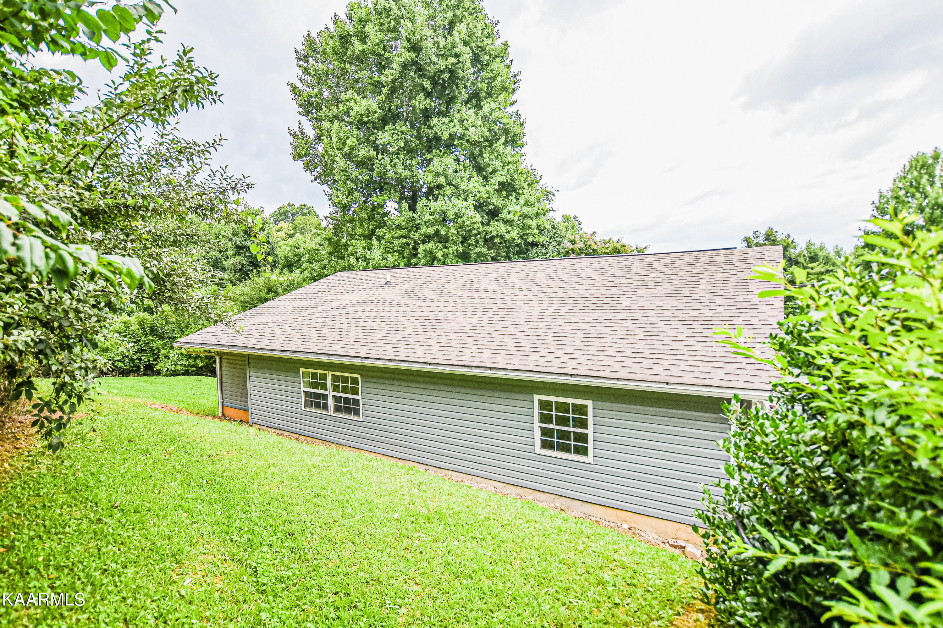 668 Ridge Road Caryville, TN 37714 - Photo 10 of 43 DSC_8896