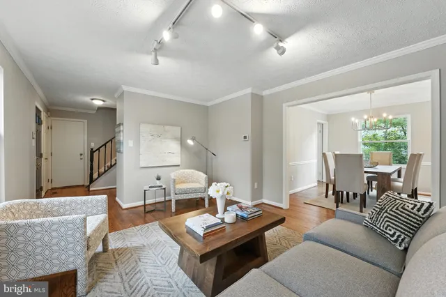 a living room with furniture a table and a potted plant