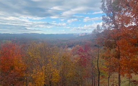 568 Raccoon Ridge Murphy, NC 28906 - Photo 7 of 35 Additional View