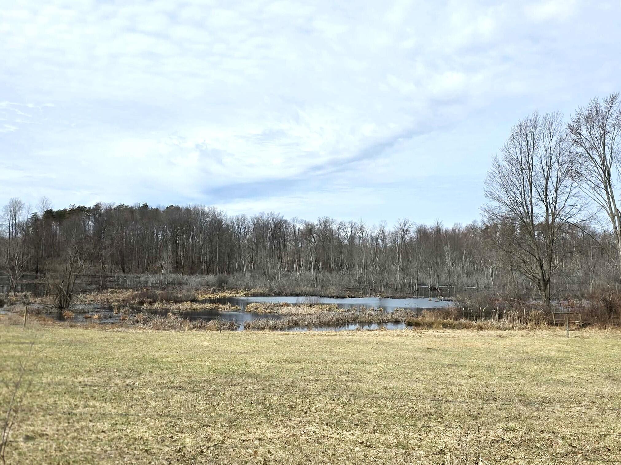 12409 Bellevue Road Battle Creek, MI 49014 - Photo 27 of 42 land/water