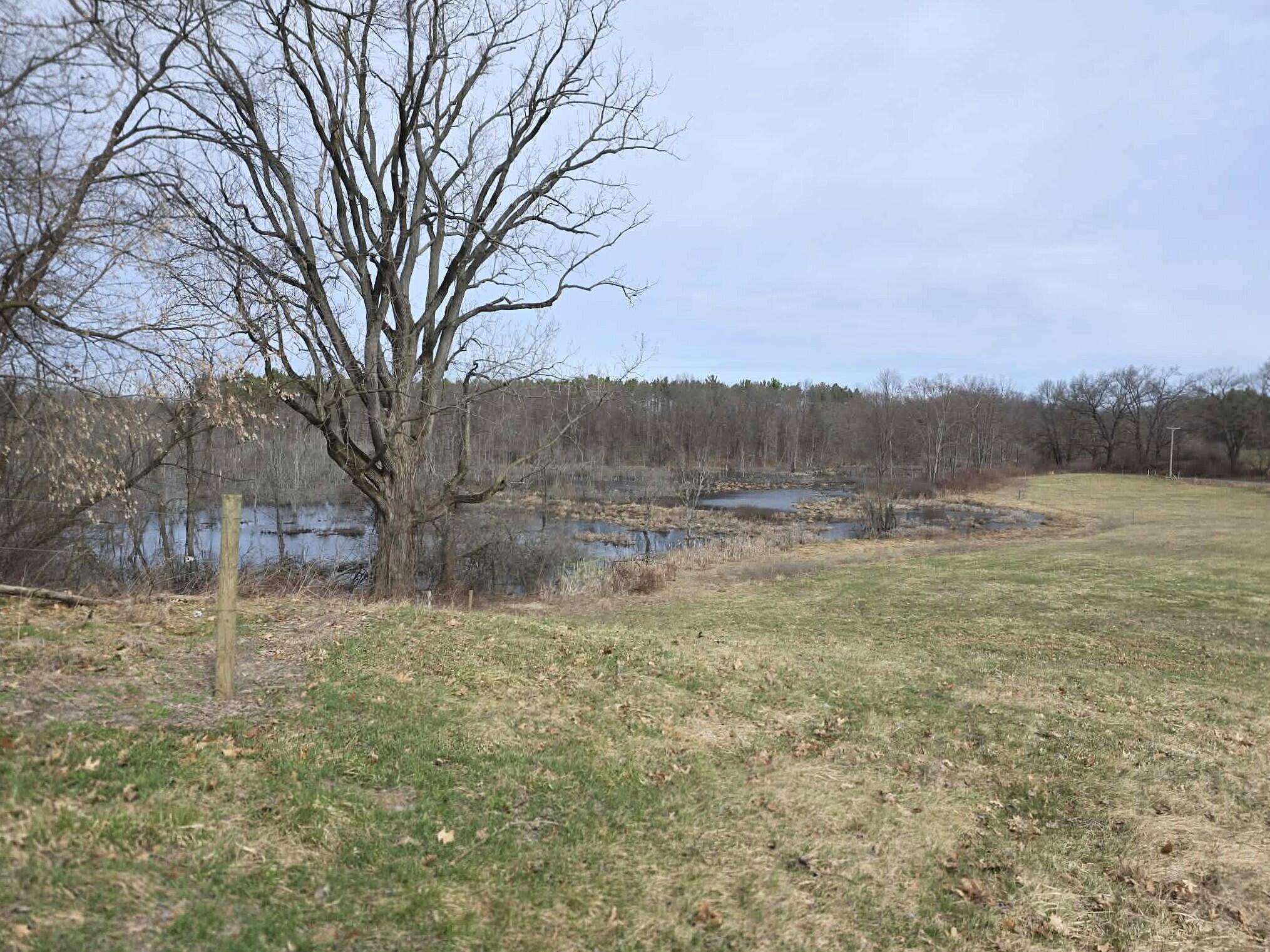 12409 Bellevue Road Battle Creek, MI 49014 - Photo 28 of 42 land/water