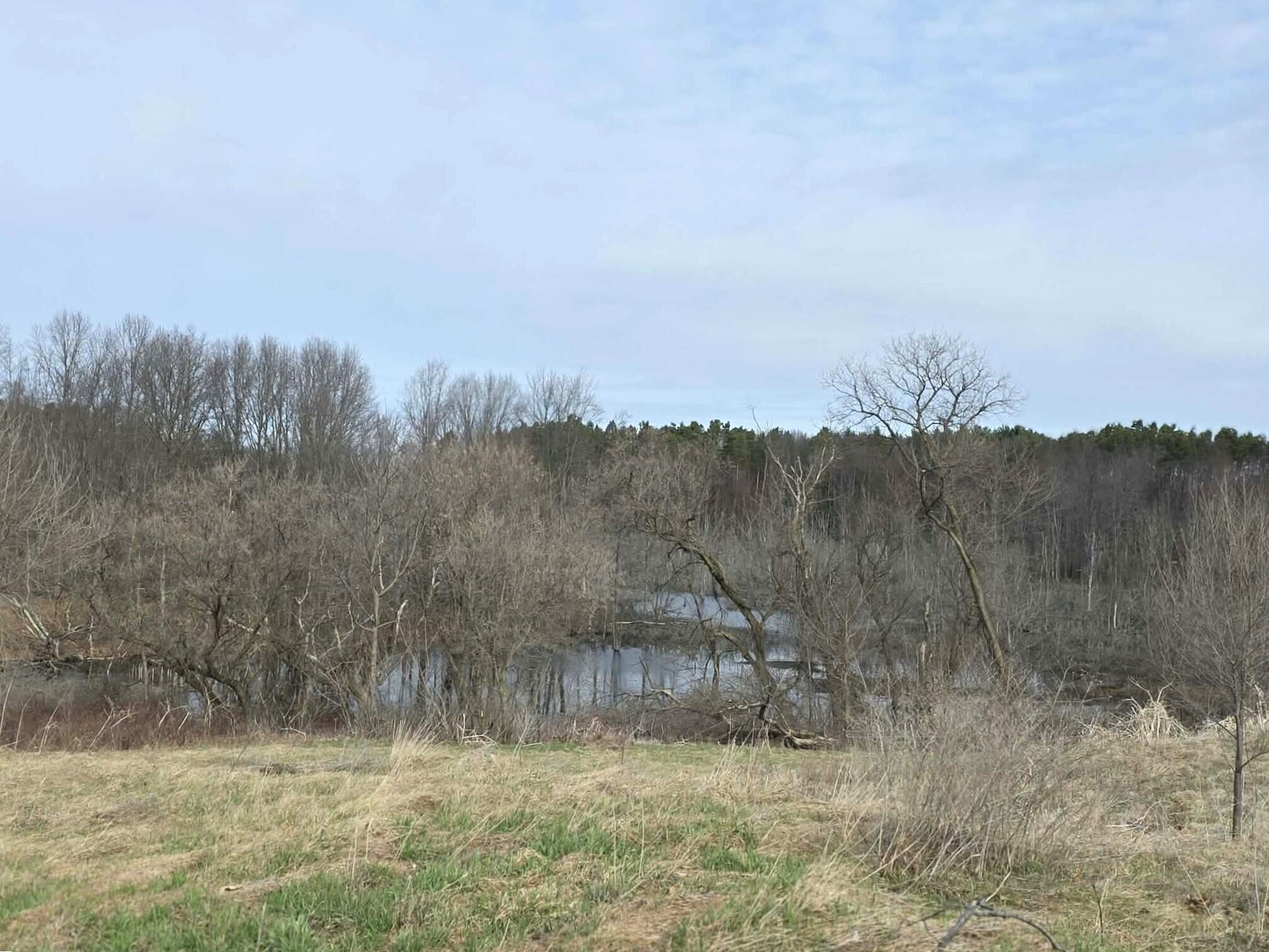12409 Bellevue Road Battle Creek, MI 49014 - Photo 28 of 44 land/water