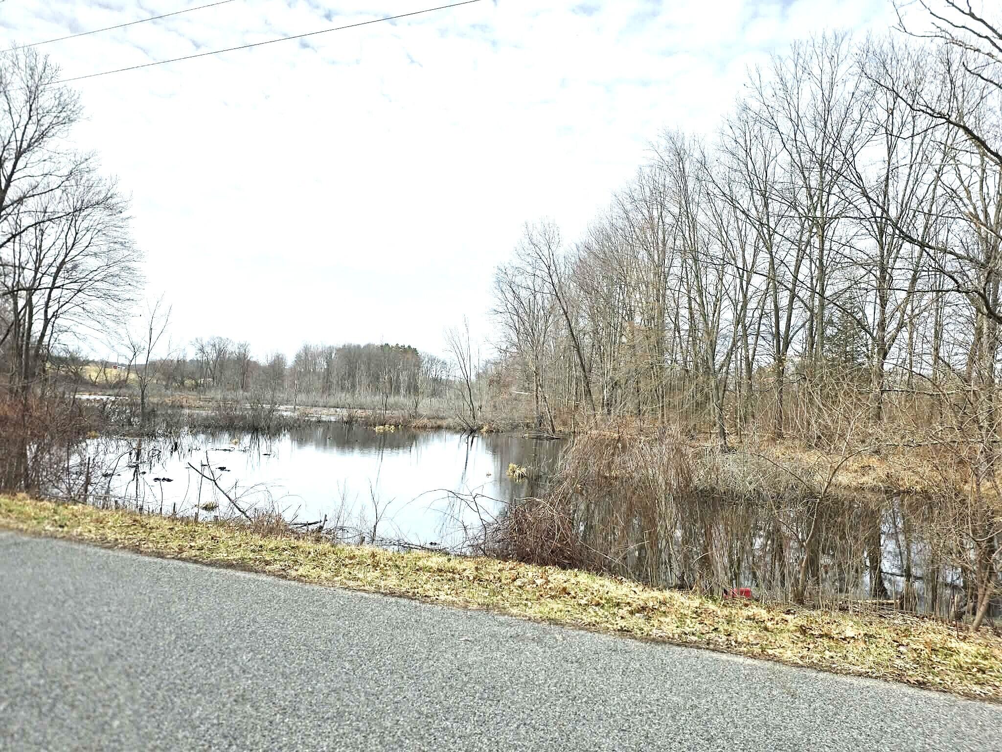 12409 Bellevue Road Battle Creek, MI 49014 - Photo 29 of 42 water view from 12 1/2 Mile Rd