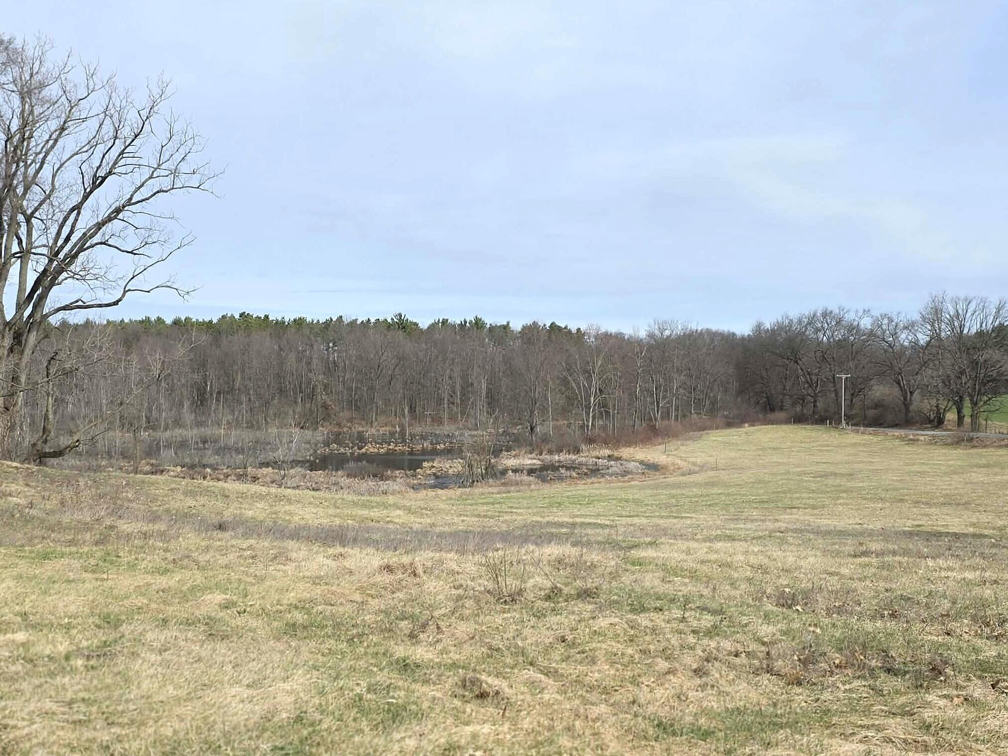 12409 Bellevue Road Battle Creek, MI 49014 - Photo 30 of 42 land