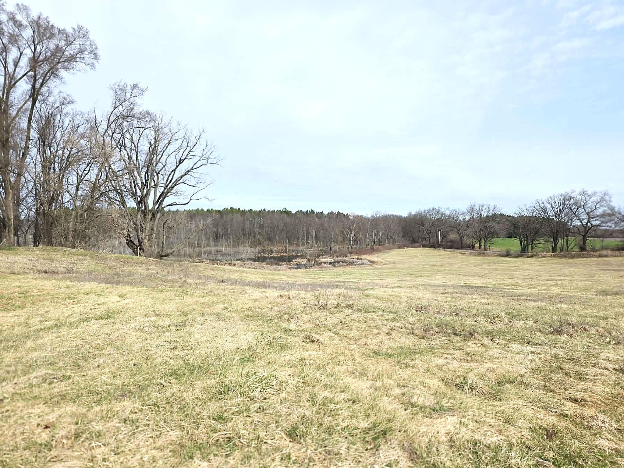 12409 Bellevue Road Battle Creek, MI 49014 - Photo 33 of 42 land