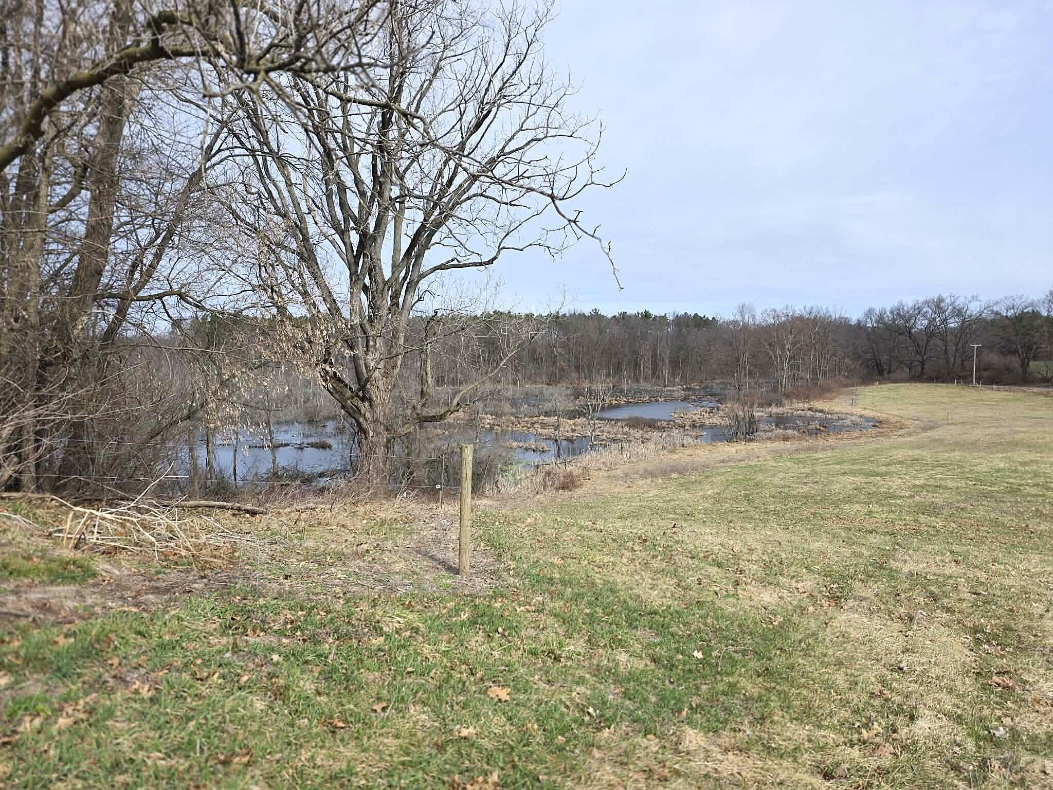 12409 Bellevue Road Battle Creek, MI 49014 - Photo 34 of 42 land/water