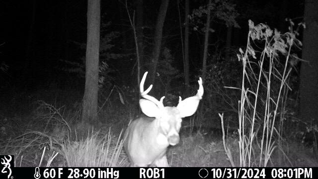 12409 Bellevue Road Battle Creek, MI 49014 - Photo 39 of 44 4b94bfc8-4426-4b90-b7bb-c59dd64cb323