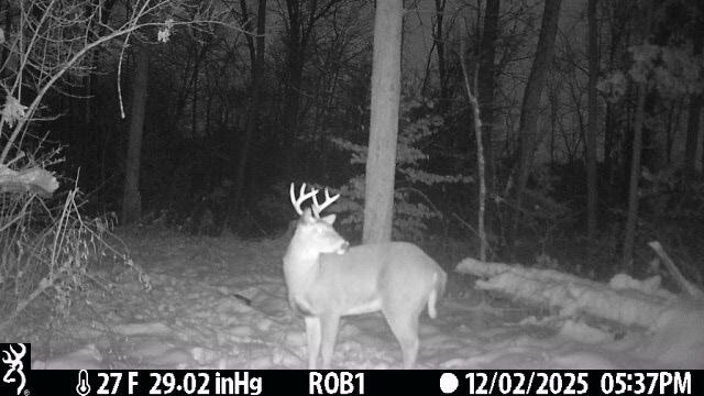 12409 Bellevue Road Battle Creek, MI 49014 - Photo 39 of 42 96afe898-191e-4ae3-b837-a5fa9eb0b17c