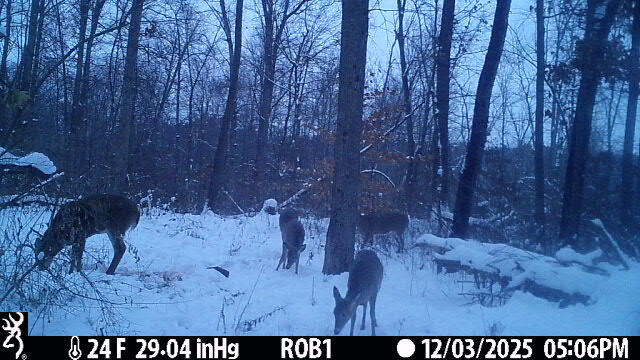 12409 Bellevue Road Battle Creek, MI 49014 - Photo 40 of 42 2176821d-cf9b-43b6-9729-f4b1f892ff47