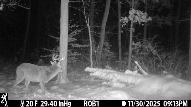12409 Bellevue Road Battle Creek, MI 49014 - Photo 40 of 44 3c2d42c5-8479-4777-b6e5-707681ee9a56