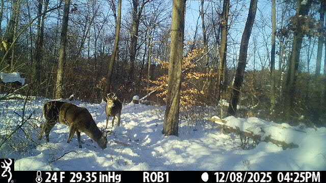 12409 Bellevue Road Battle Creek, MI 49014 - Photo 41 of 42 6297a3fa-ba90-4a4a-8493-a29e25be4af5