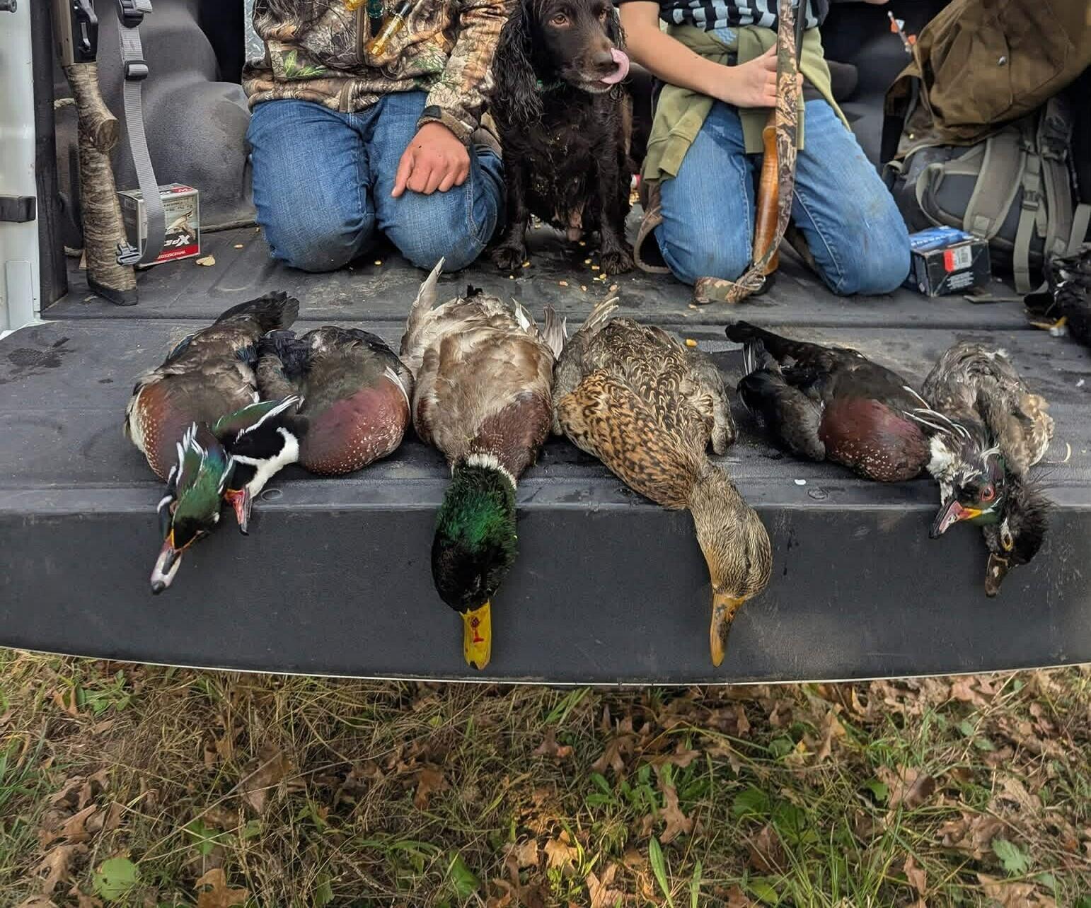 12409 Bellevue Road Battle Creek, MI 49014 - Photo 44 of 44 hunting